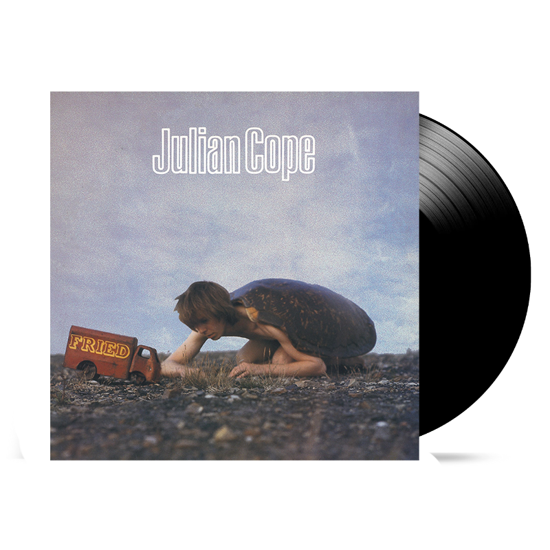 Fried: Vinyl LP [ vinyl ]