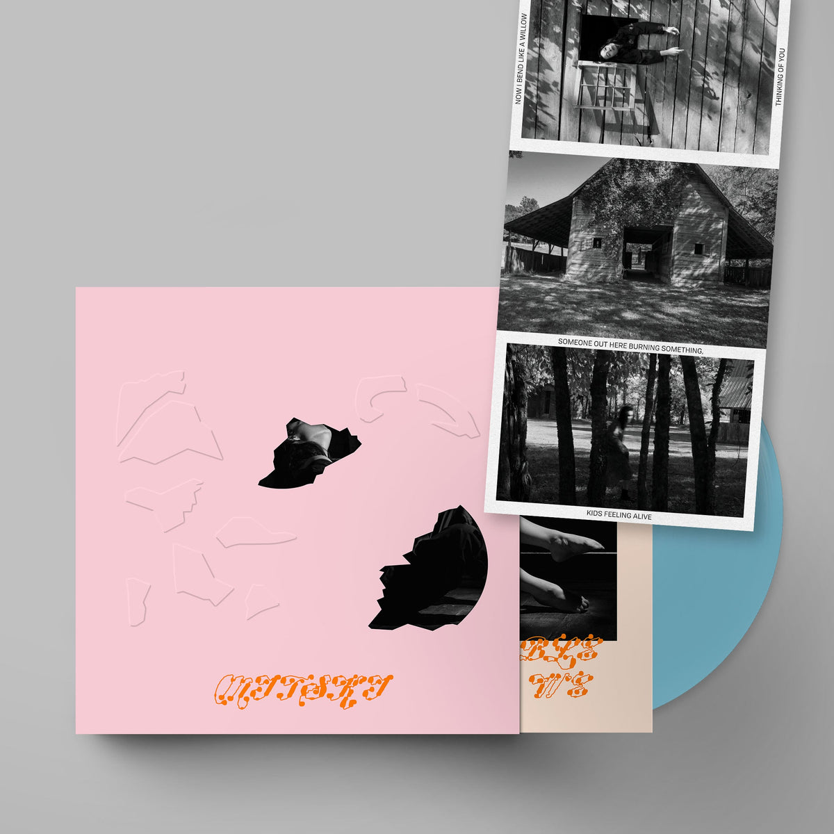 The Land is Inhospitable and So Are We: Limited Robin Egg Blue Vinyl LP w/ Pink Die-Cut Slipcase & Postcard Set [ vinyl ]