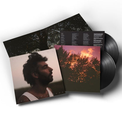 Revelation: Vinyl 2LP [ vinyl ]