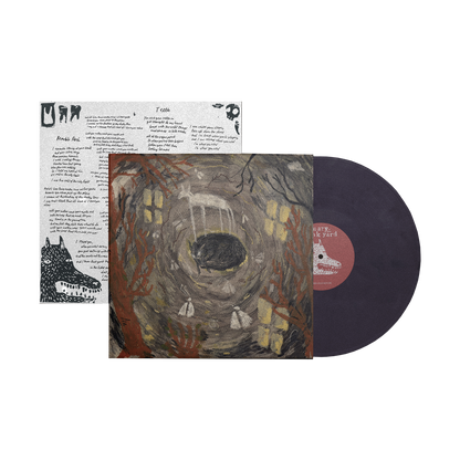 this old house: Eco-Mix Recycled Vinyl LP [ vinyl ]