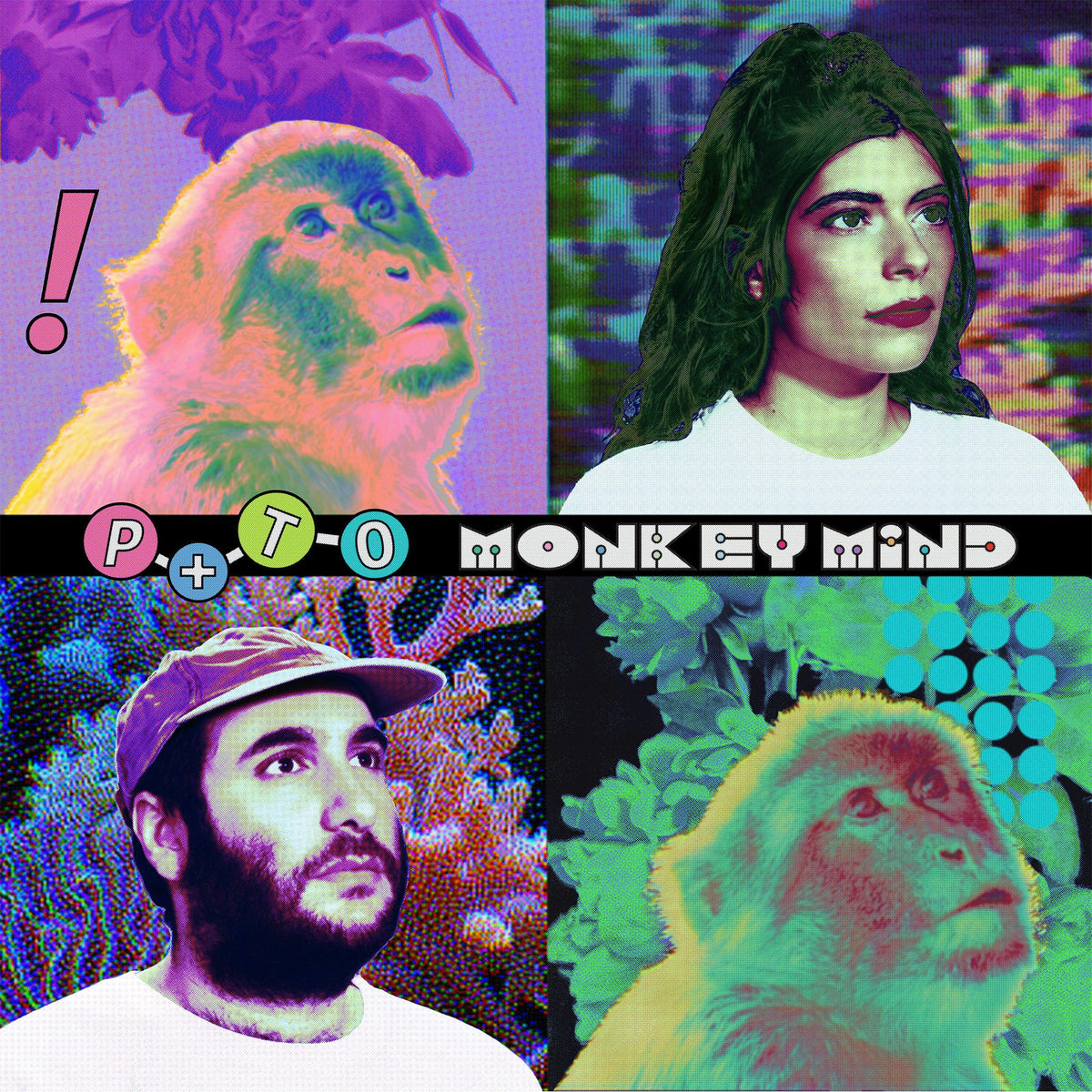 Monkey Mind: Mint Green Vinyl LP [ vinyl ]