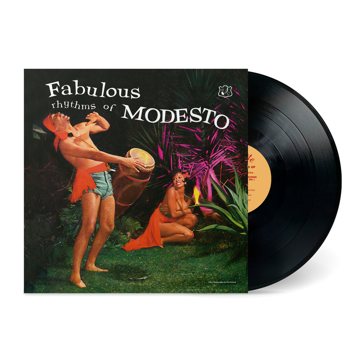 Fabulous Rhythms of Modesto: Vinyl LP [ vinyl ]