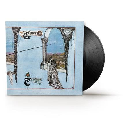 Trespass: Vinyl LP [ vinyl ]