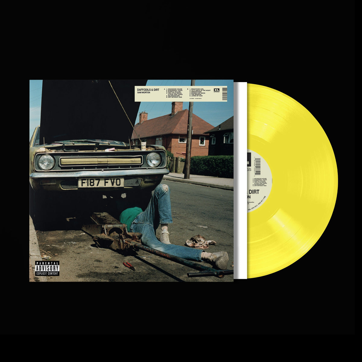 Daffodils & Dirt: Limited Yellow Vinyl LP [ vinyl ]