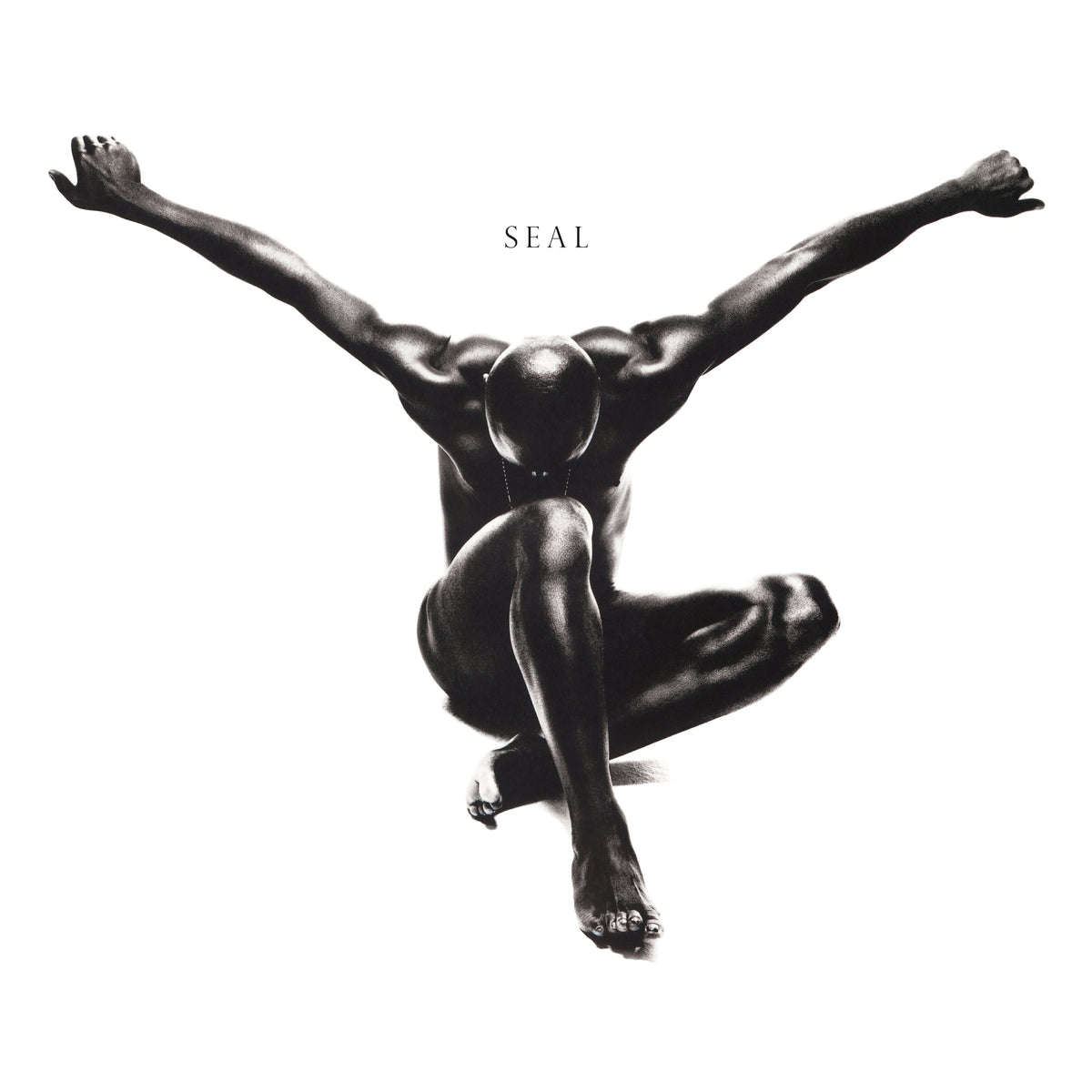 Seal: Vinyl 2LP [ vinyl ]