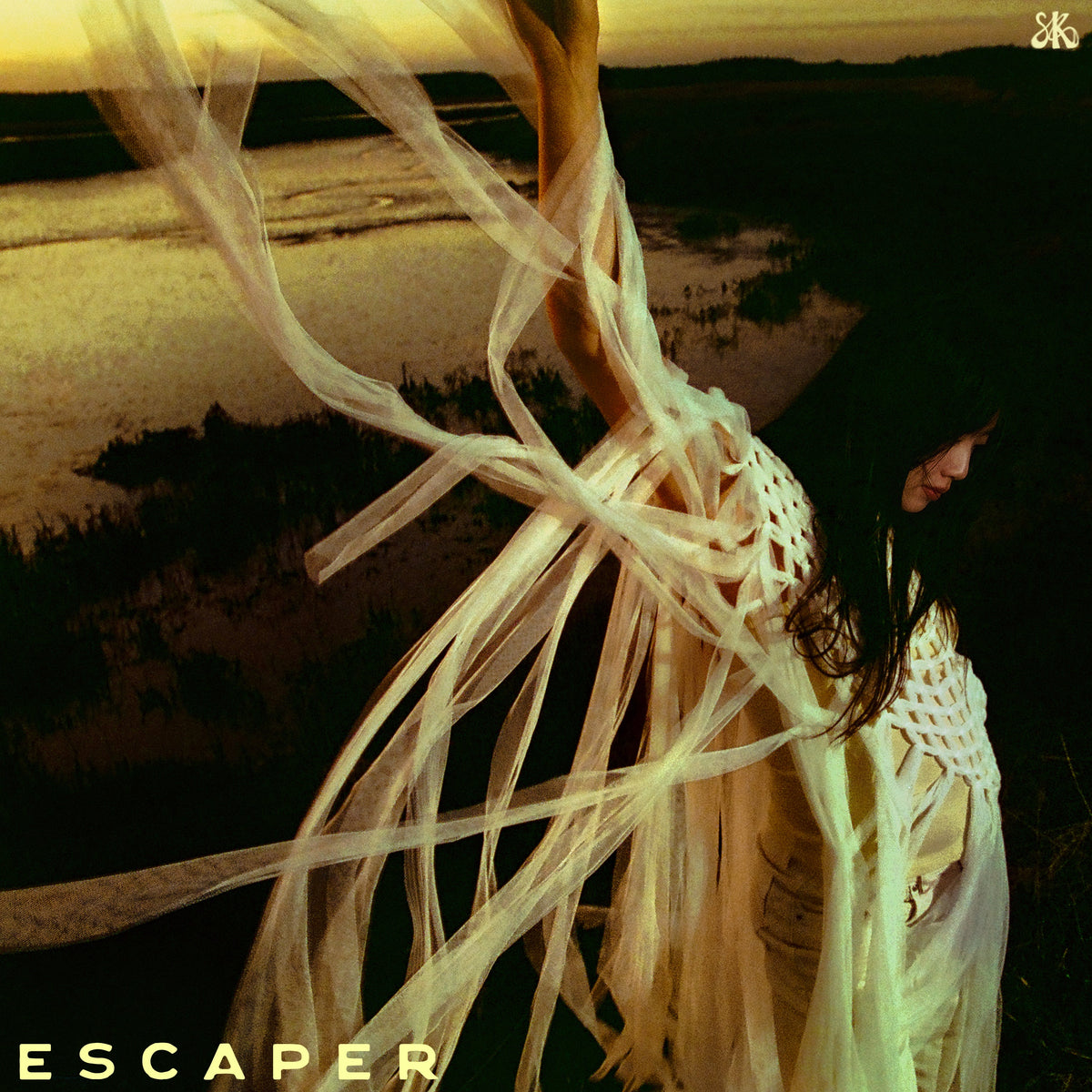 Escaper: Vinyl LP [ vinyl ]
