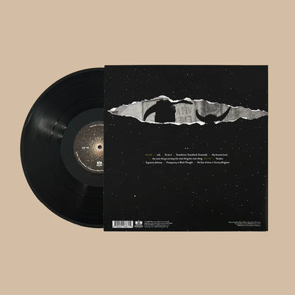 No Fear of Time: Vinyl LP [ vinyl ]