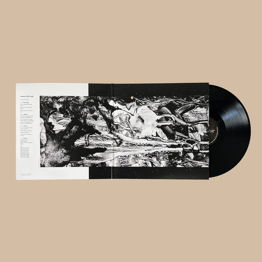 No Fear of Time: Vinyl LP [ vinyl ]