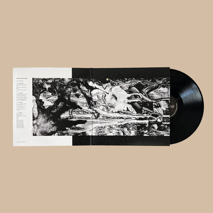 No Fear of Time: Vinyl LP [ vinyl ]