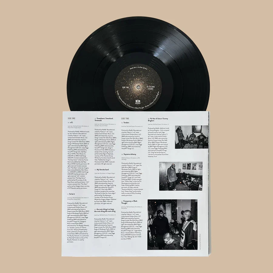 No Fear of Time: Vinyl LP [ vinyl ]