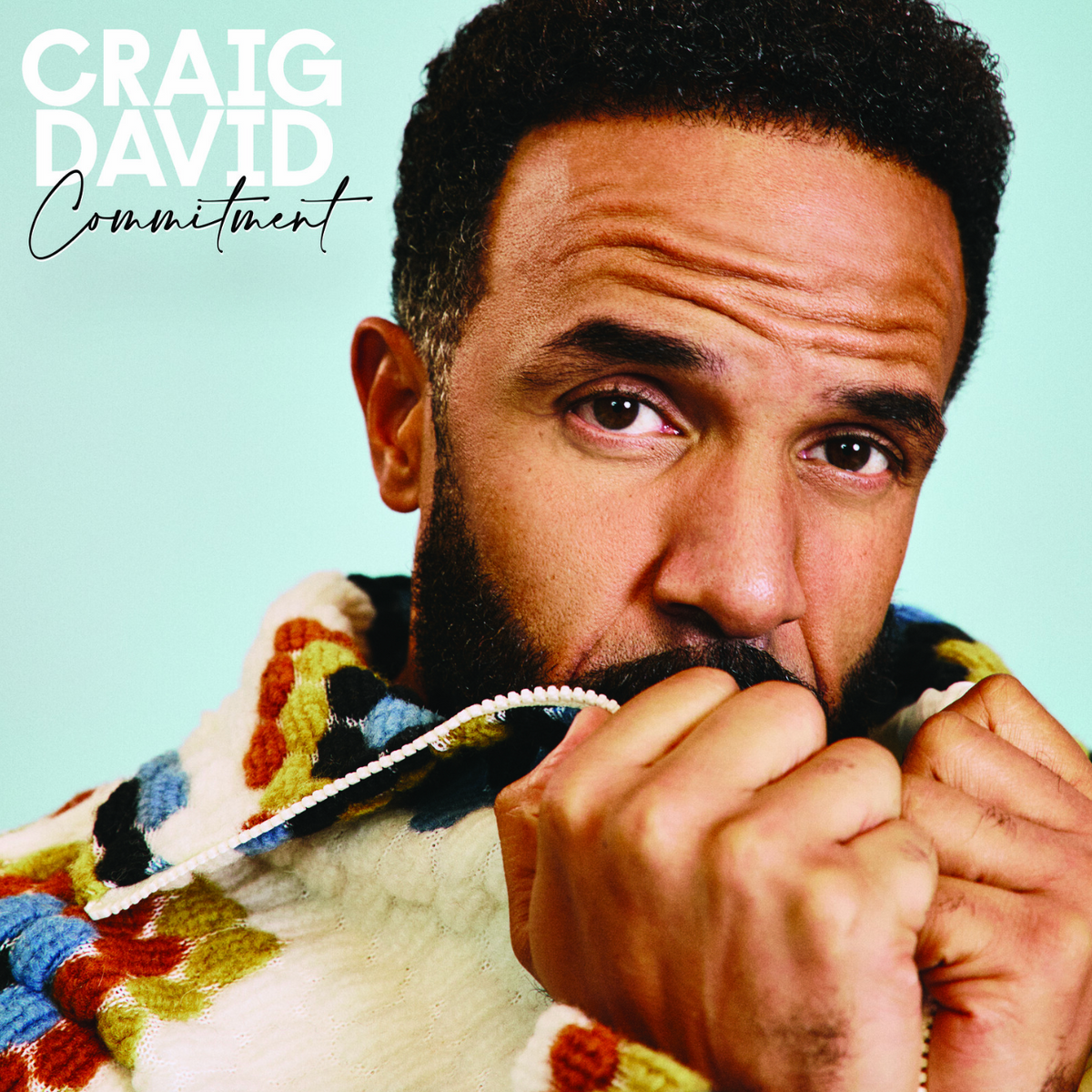 Commitment: Black Vinyl LP [ vinyl ]