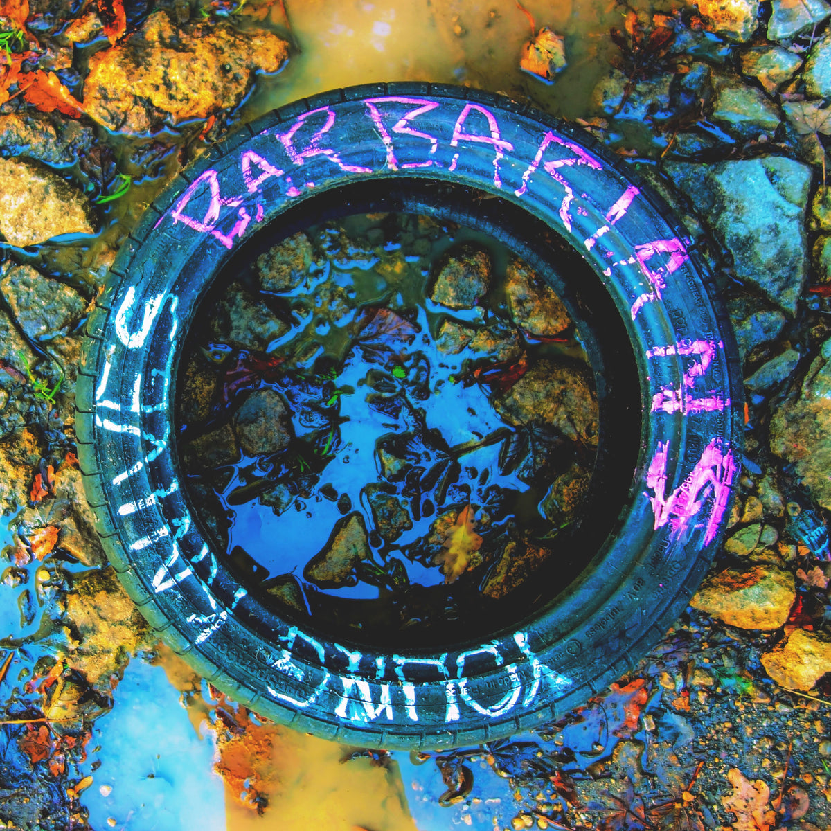 Barbarians: Vinyl LP [ vinyl ]