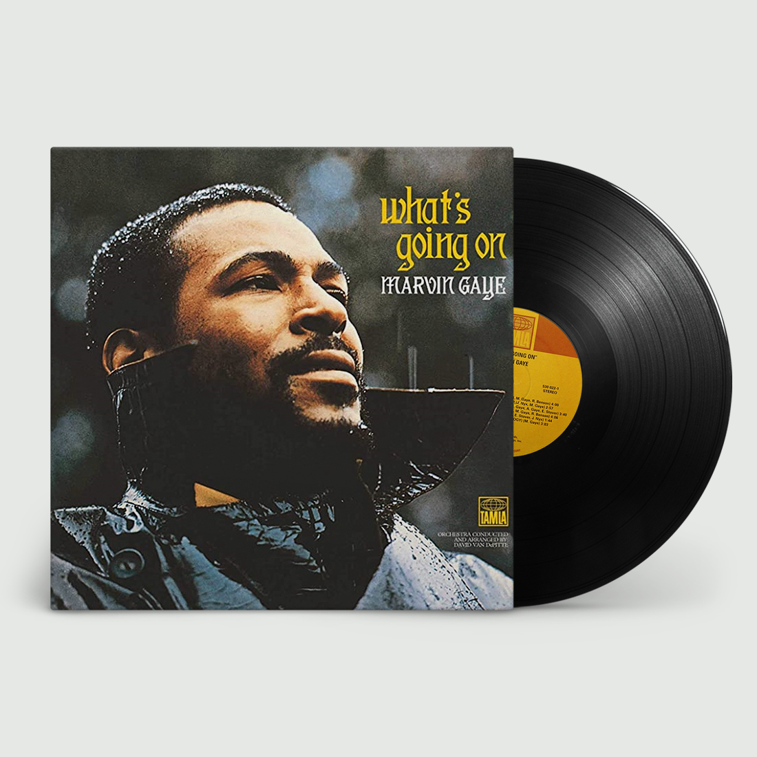 What's Going On: Vinyl LP [ vinyl ]