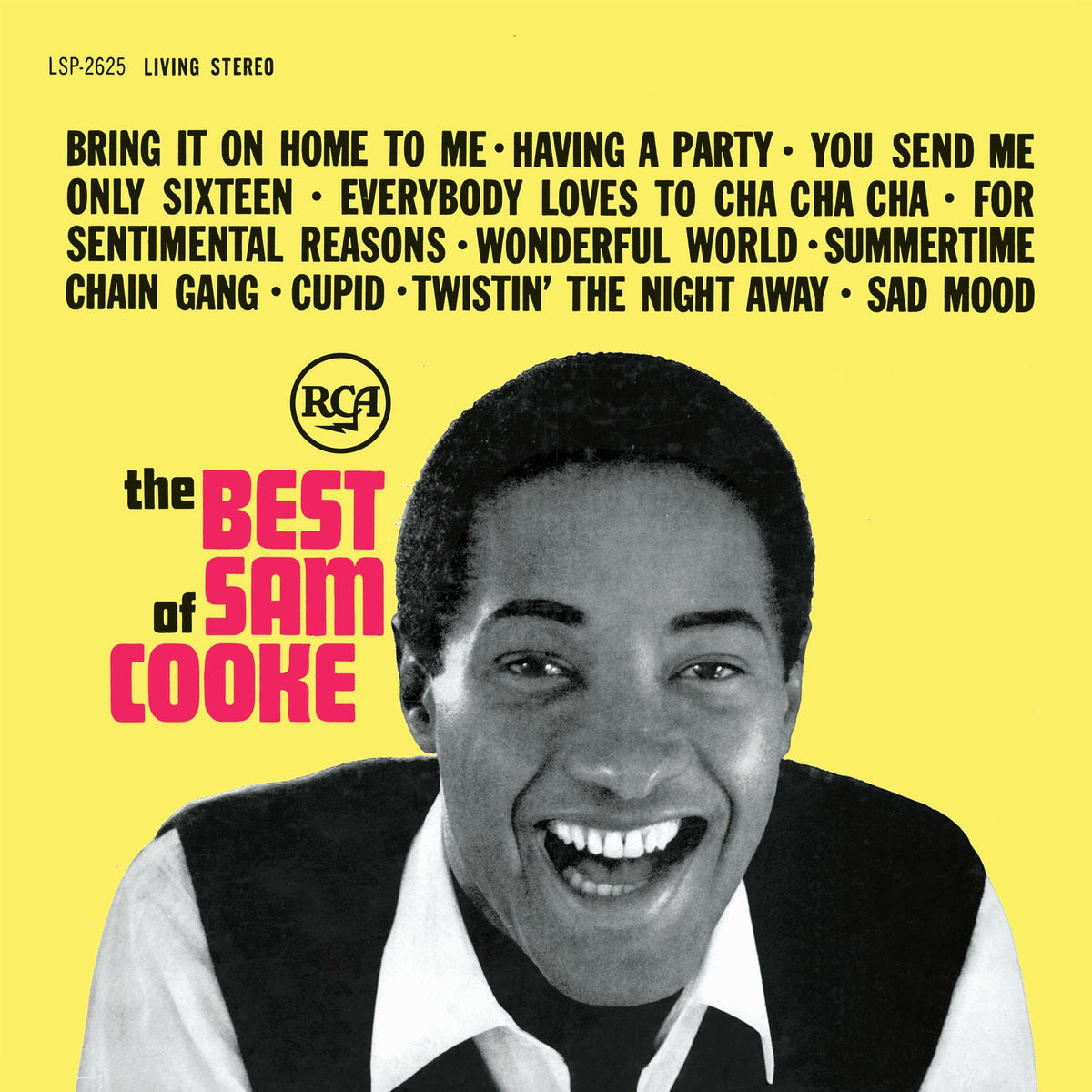 The Best of Sam Cooke: Vinyl LP [ vinyl ]