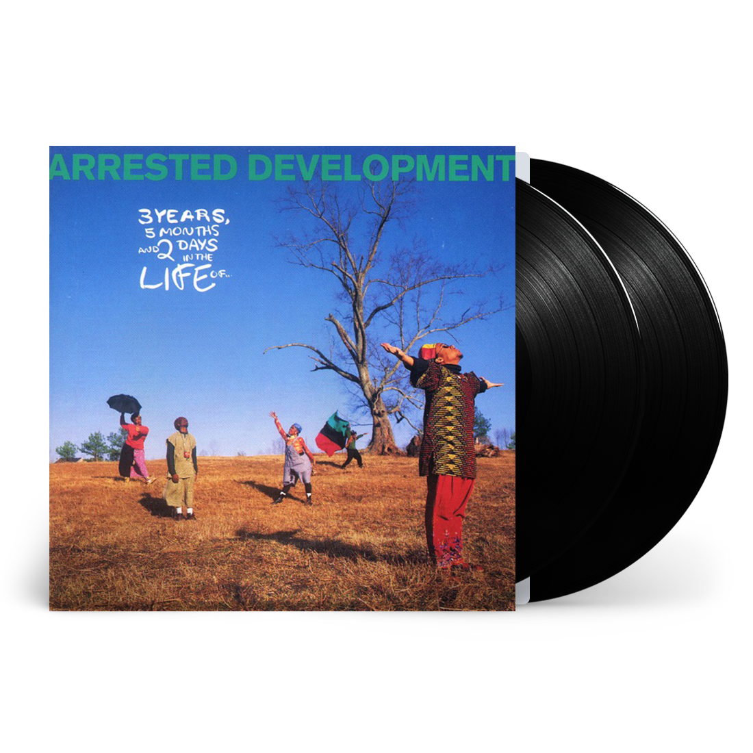 3 Years 5 Months 2 Days In The Life Of... Vinyl 2LP [ vinyl ]