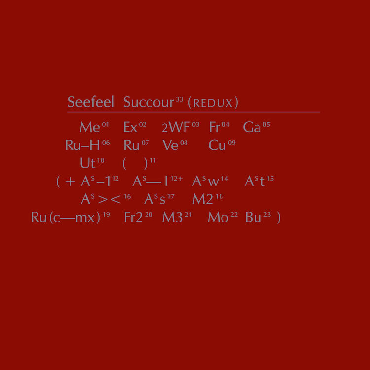 Succour (Redux): Vinyl LP [ vinyl ]