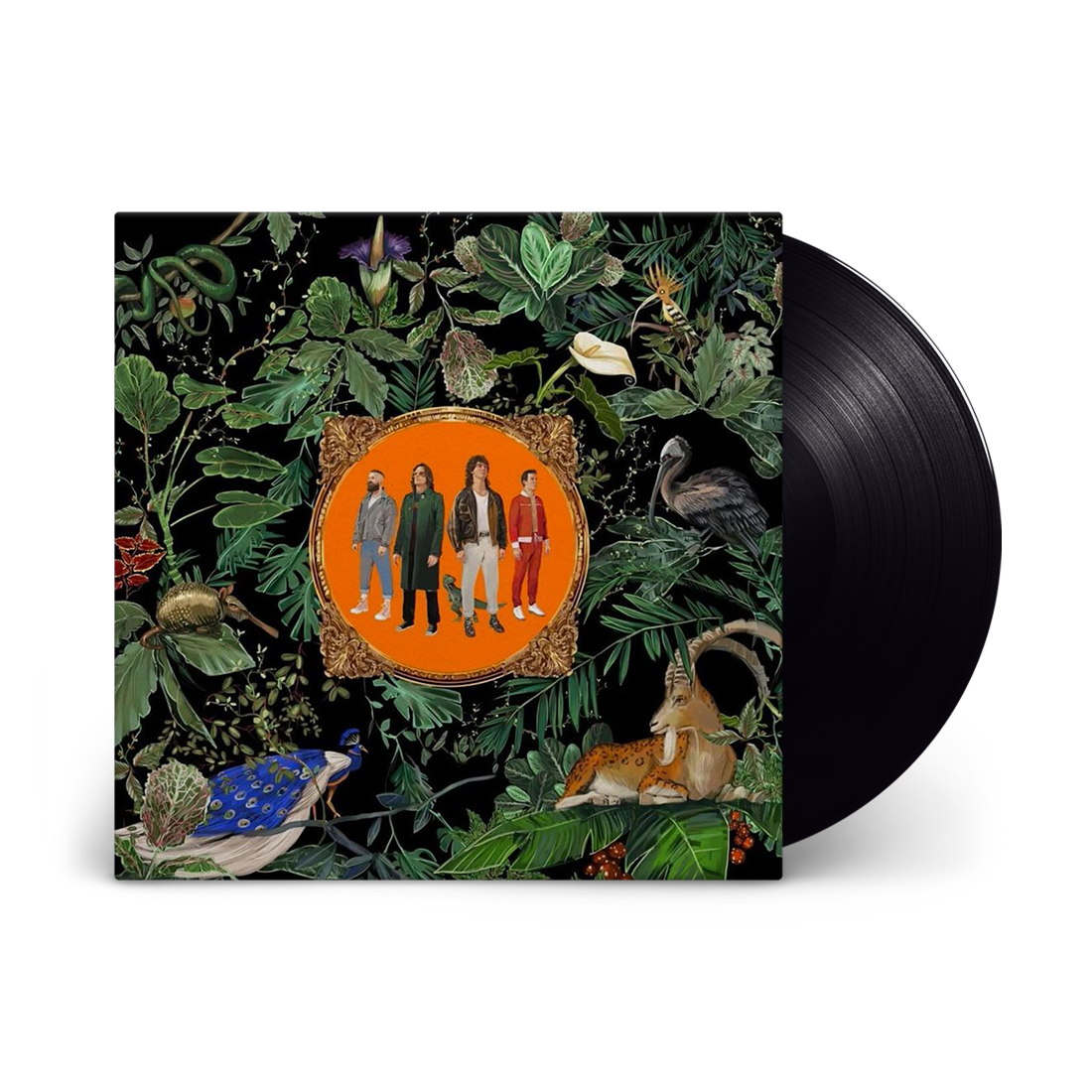 Amazing Things: Vinyl LP [ vinyl ]