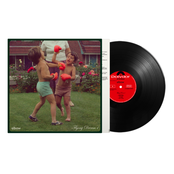 Flying Dream 1: Vinyl LP [ vinyl ]