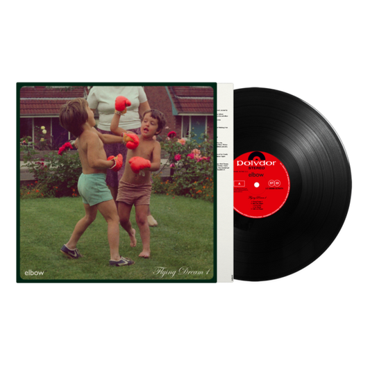Flying Dream 1: Vinyl LP [ vinyl ]