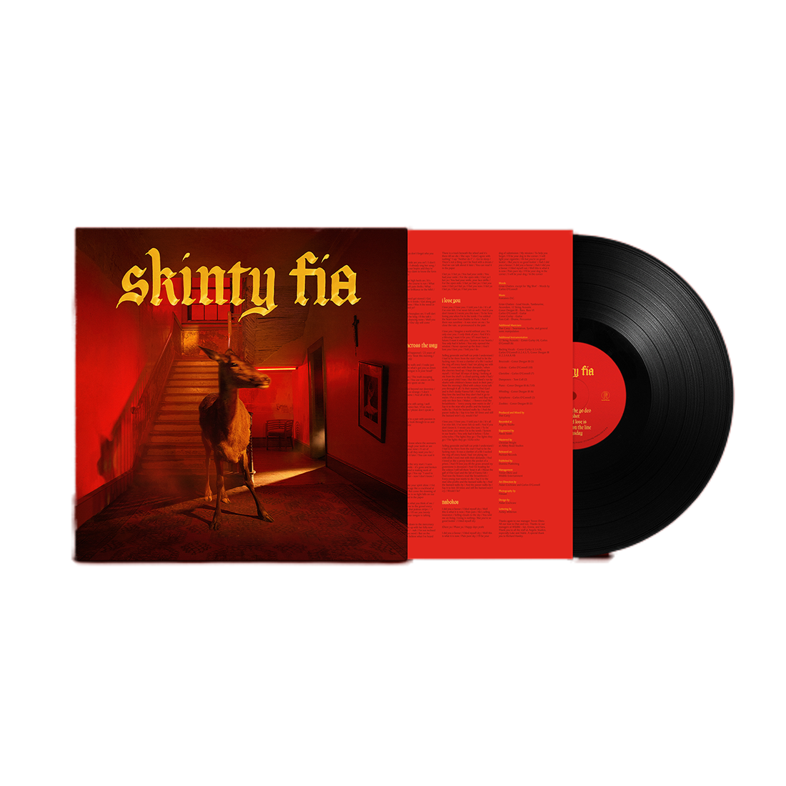 Skinty Fia: Vinyl LP [ vinyl ]