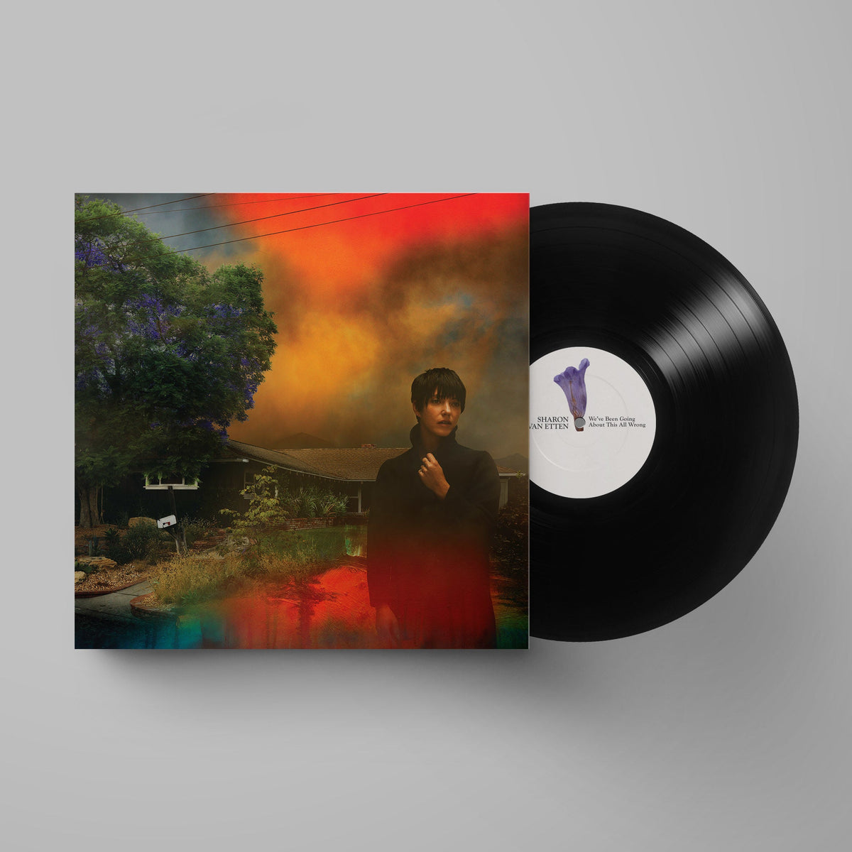 We've Been Going About This All Wrong: Vinyl LP [ vinyl ]
