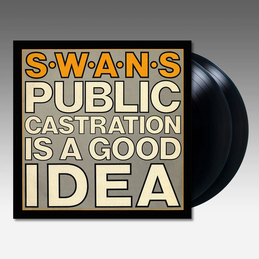 Public Castration Is A Good Idea: Vinyl 2LP [ vinyl ]