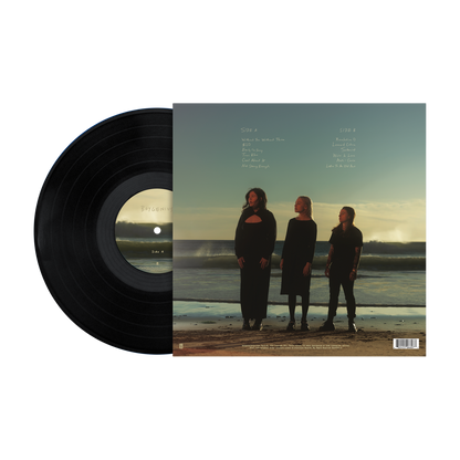 the record vinyl lp [black vinyl] [ vinyl ]