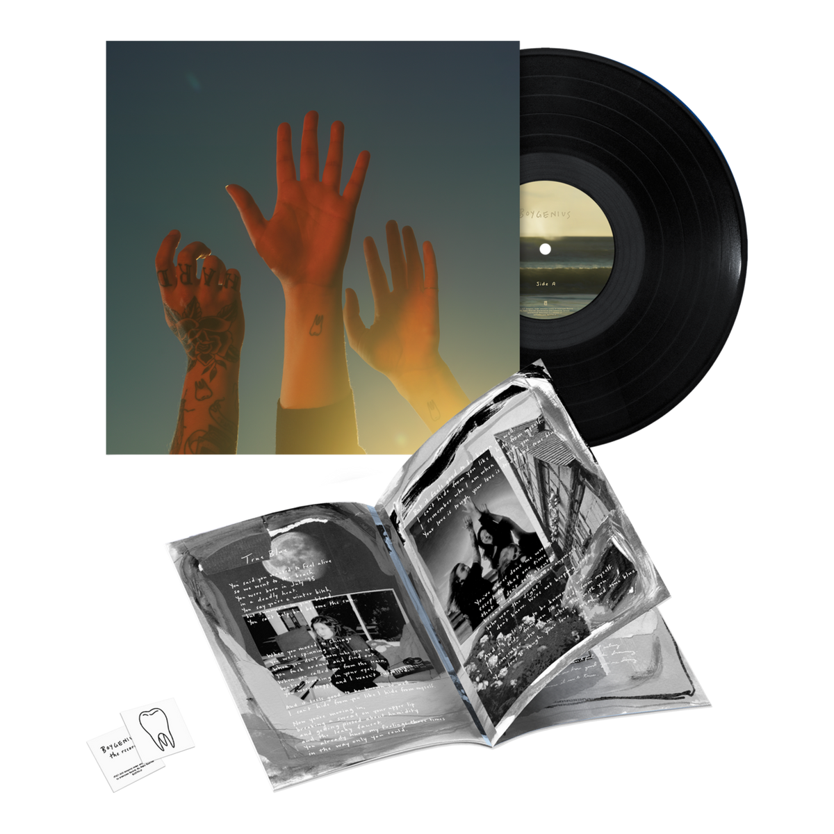 the record vinyl lp [black vinyl] [ vinyl ]