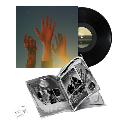the record vinyl lp [black vinyl] [ vinyl ]