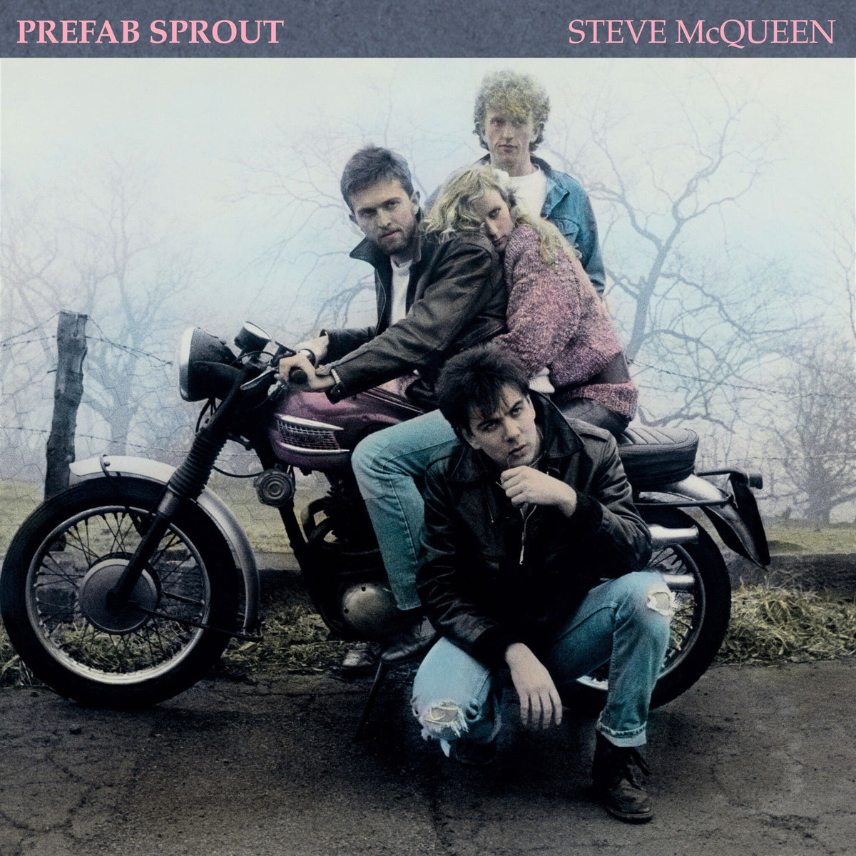 Steve McQueen (2019 Remastered Edition): Vinyl LP [ vinyl ]
