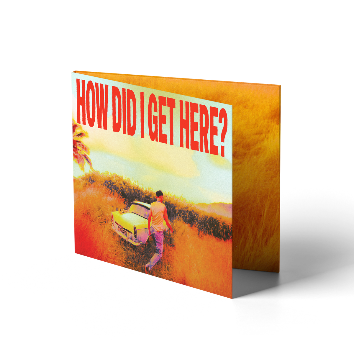 How Did I Get Here? CD [ vinyl ]