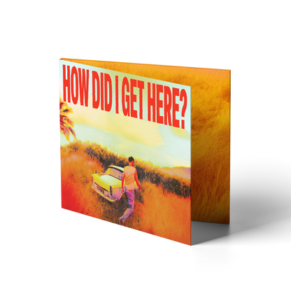 How Did I Get Here? CD [ vinyl ]