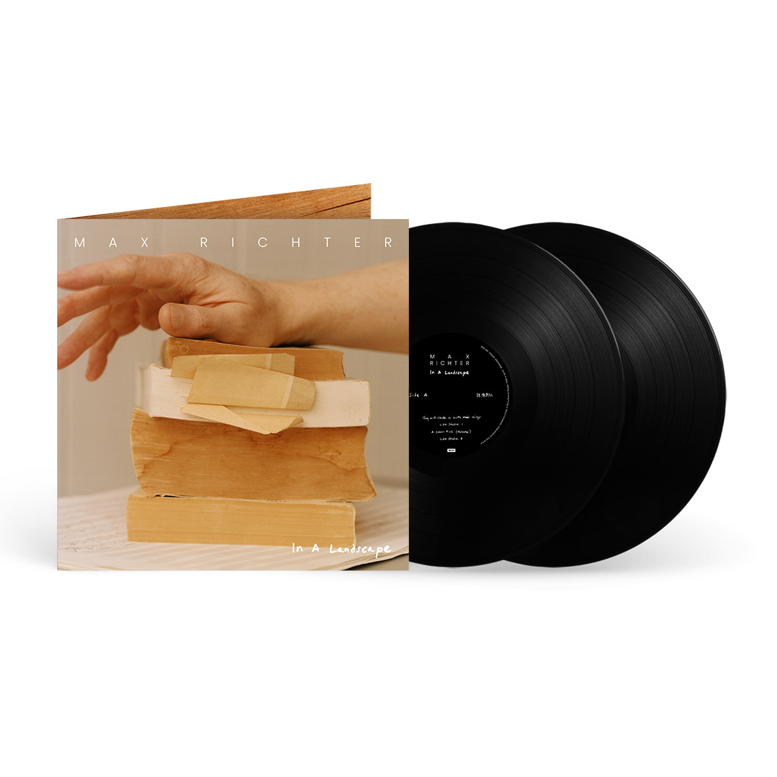 In A Landscape 2LP [ vinyl ]