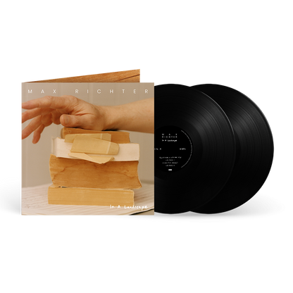 In A Landscape 2LP [ vinyl ]