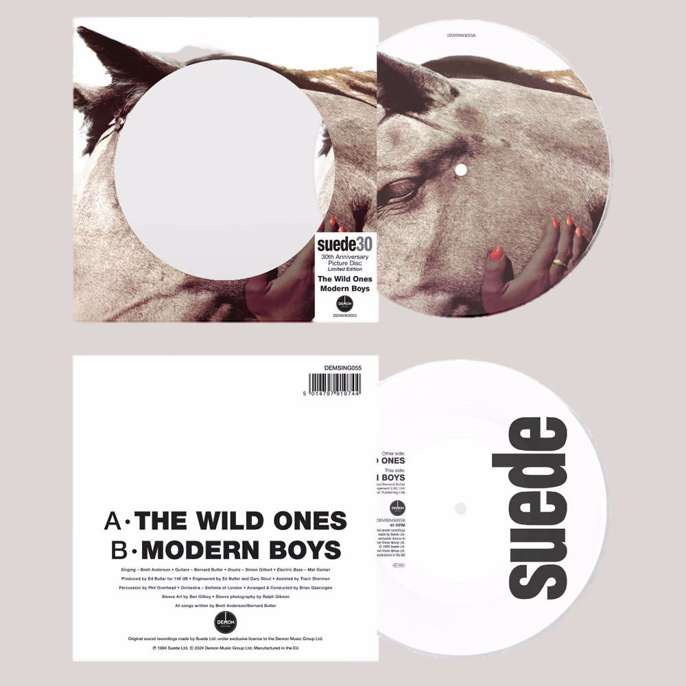 The Wild Ones (30th Anniversary): Limited Picture Disc Vinyl 7” Single [ vinyl ]