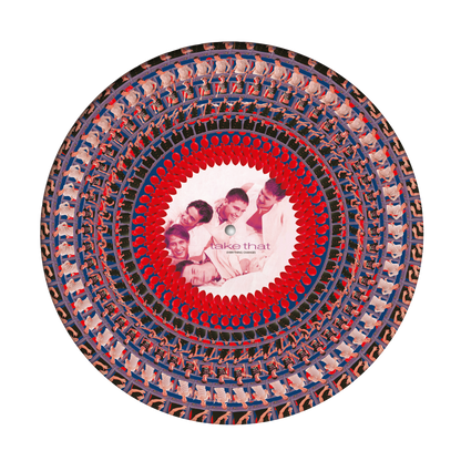 Everything Changes Anniversary Limited Edition Zoetrope Vinyl [NAD24] [ vinyl ]