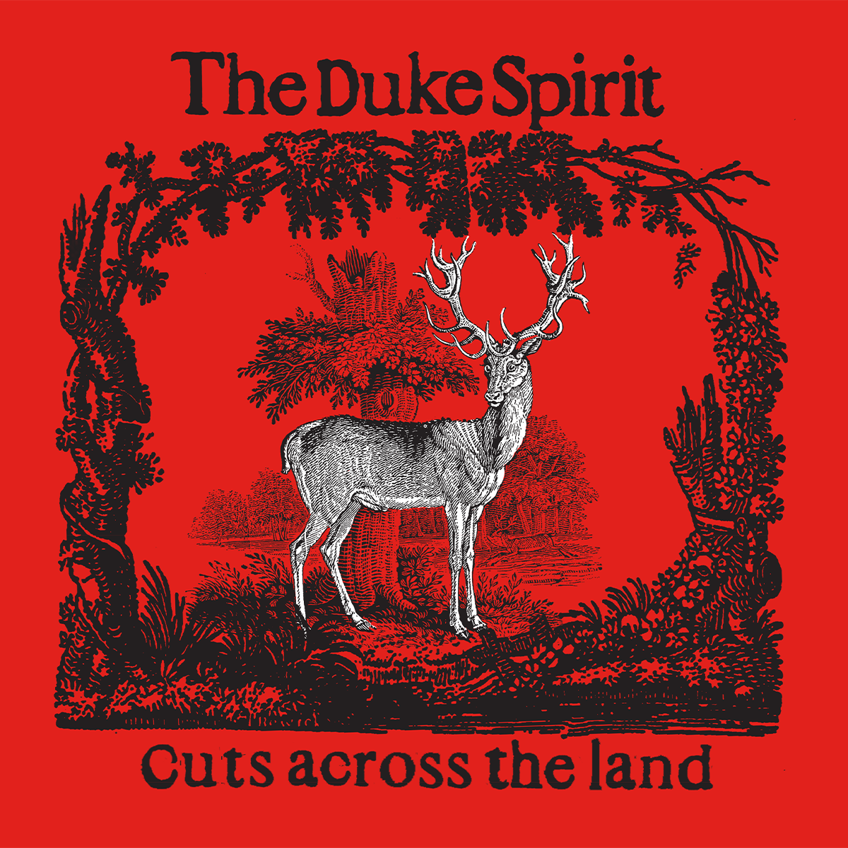 Cuts Across The Land: Exclusive Signed Art Card [ vinyl ]