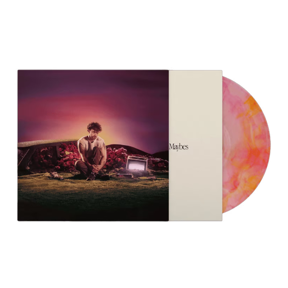 What Ifs & Maybes (Dusk Edition): Limited Tri-Colour Marble Vinyl LP [RSD24] [ vinyl ]