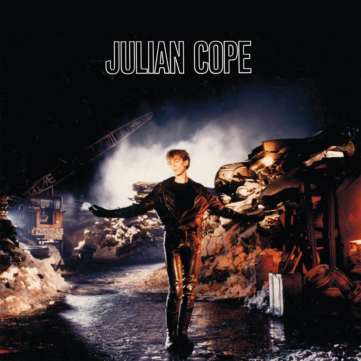 Saint Julian: Vinyl LP [ vinyl ]