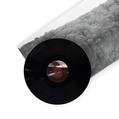 RUSHMERE: Recycled Black Vinyl LP [ vinyl ]