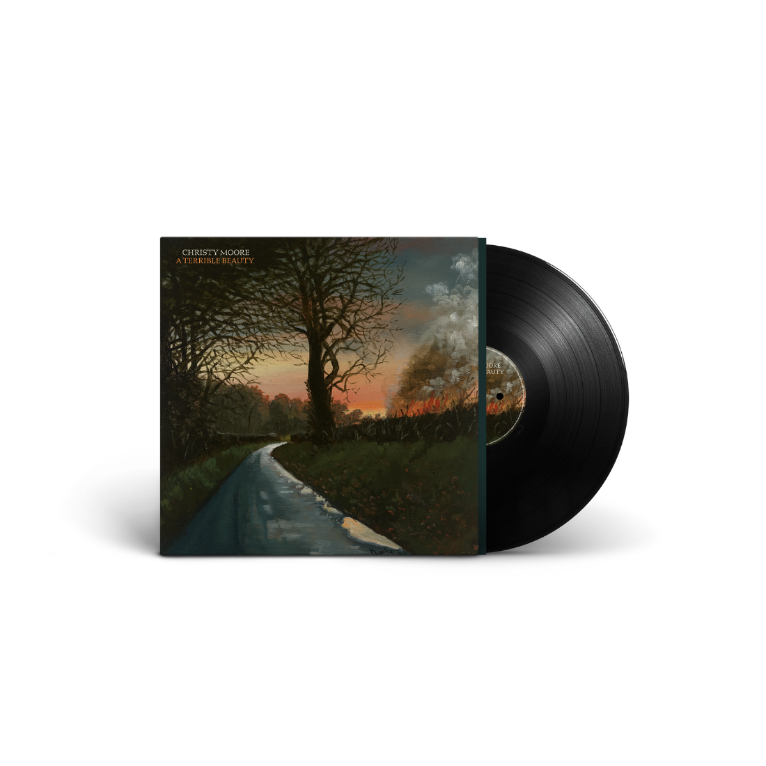 A Terrible Beauty: Vinyl LP [ vinyl ]