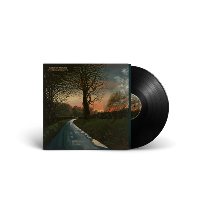 A Terrible Beauty: Vinyl LP [ vinyl ]