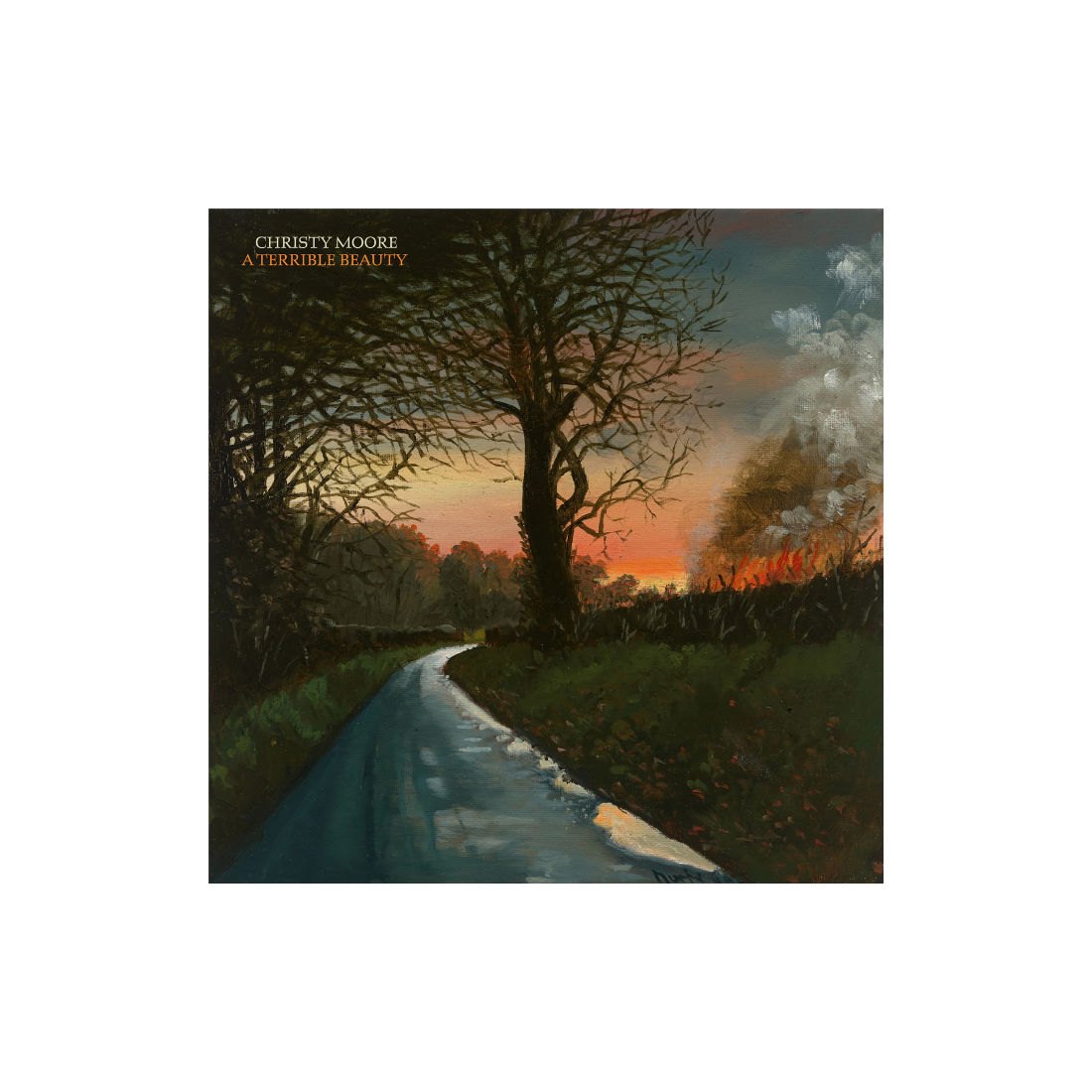 A Terrible Beauty: Vinyl LP [ vinyl ]