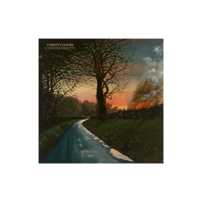 A Terrible Beauty: Vinyl LP [ vinyl ]