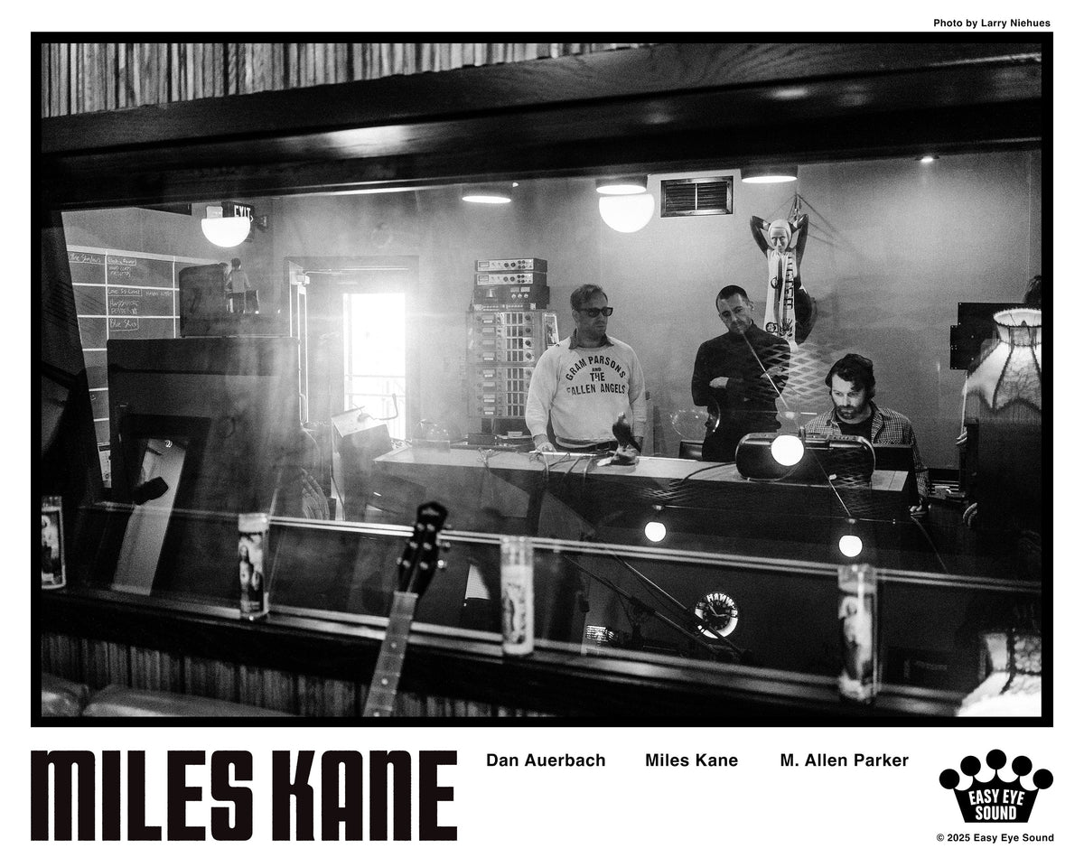 Sunlight In The Shadows Art Print [Signed By Miles Kane] [ vinyl ]