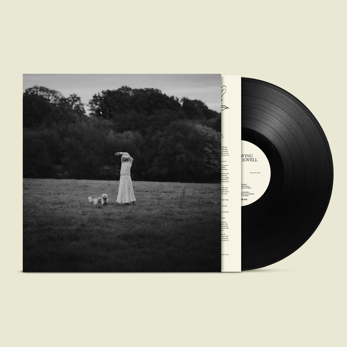 On The Wing: Black Vinyl LP [ vinyl ]