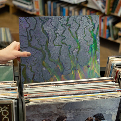 Alt-J - An Awesome Wave - Vinyl LP Record