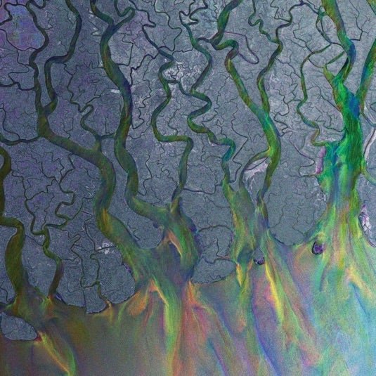 Alt-J - An Awesome Wave - Vinyl LP Record