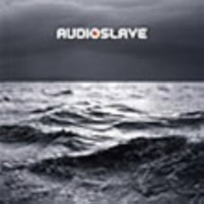 Audioslave - Out Of Exile - Vinyl LP Record