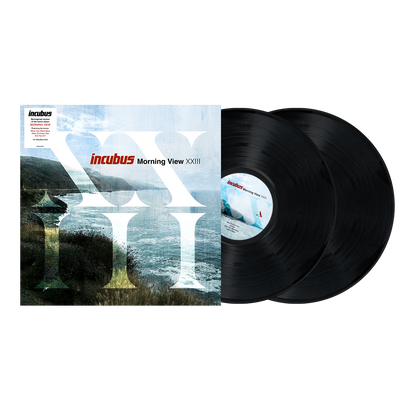 Morning View XXII: Vinyl 2LP [ vinyl ]